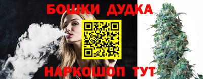 наркотики Кингисепп