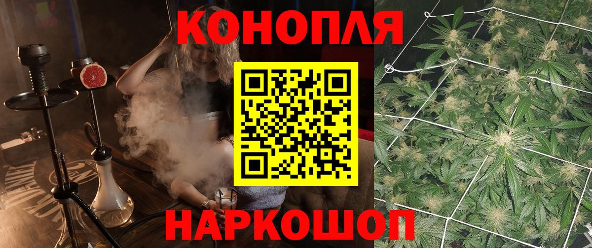 Конопля семена Кузнецк